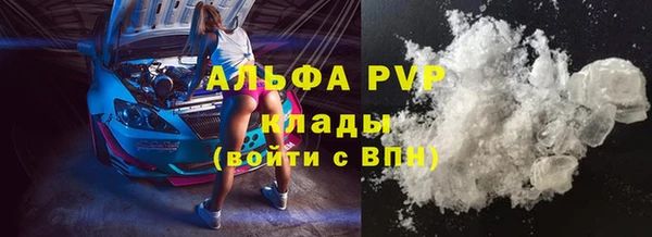 PSILOCYBIN Алзамай