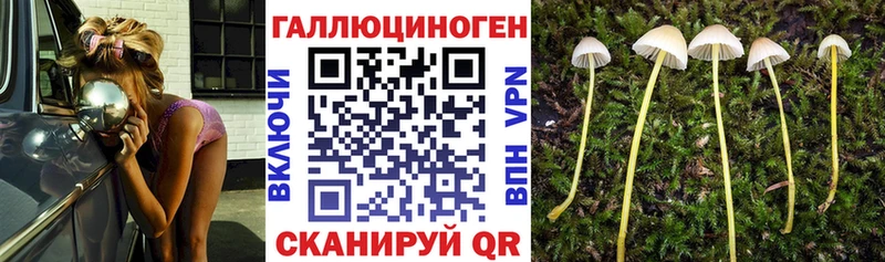 Галлюциногенные грибы Psilocybe  Любим 